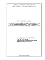 SKKN tổ chức các hoạt động trải nghiệm sáng tạo nhằm hình thành và phát triển kiến thức, năng lực phẩm chất cho học sinh tiểu học 