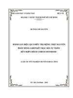 ĐÁNH GIÁ HIỆU QUẢ ĐIỀU TRỊ MỘNG THỊT NGUYÊN PHÁT BẰNG GHÉP KẾT MẠC RÌA TỰ THÂN  KẾT HỢP CHÍCH CORTICOSTEROID