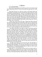 SKKN một số giải pháp nâng cao chất lượng đội ngũ cán bộ quản lý các trường tiểu học huyện quảng xương 