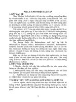 Nghiên cứu tính an toàn và tác dụng của viên nang balanoxi trên thực nghiệm và lâm sàng ở bệnh nhân suy giảm tinh trùng tt 