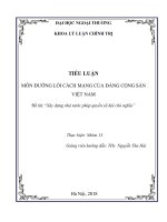 TIỂU LUẬN Xây dựng nhà nước pháp quyền xã hội chủ nghĩa