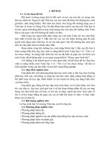 SKKN một số giải pháp dạy học sinh có năng khiếu môn toán lớp 5 về tìm tỉ số 2 đoạn thẳng 