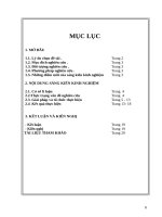 SKKN hướng dẫn học sinh lớp 4 về giải toán trung bình cộng  