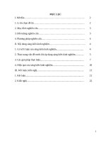 SKKN lắp đặt mạng điện trong nhà kiểu ngầm trong bộ môn công nghệ lớp 9 