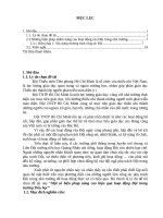 SKKN một số biện pháp nâng cao hiệu quả hoạt động của đội trong trường tiểu học  