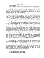 SKKN một số giải pháp nâng cao chất lượng dạy học các yếu tố đại số ở tiểu học 