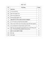 SKKN giáo dục ý thức bảo vệ môi trường cho học sinh THCS trong dạy học ngữ văn 