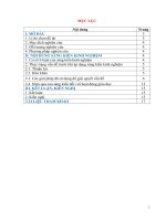 SKKN một số giải pháp rèn luyện kỹ năng viết đoạn văn biểu cảm cho học sinh lớp 7  trường THCS DTNT thường xuân1 