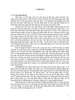 SKKN sử dụng phần mềm imindmap 7 vẽ sơ đồ tư duy thiết kế bài giảng địa lý 10 THPT 