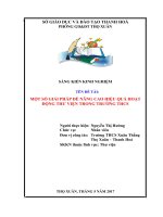 SKKN một số giải pháp nâng cao hiệu quả hoạt động thư viện trong trường THC 