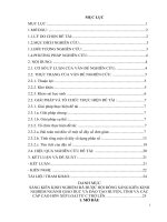 SKKN phát triển tư duy cho học sinh thông qua một số bài toán lớp 6 