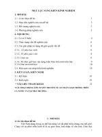 SKKN vận dụng kiến thức liên môn trong dạy học tiết 23,24  thực hiện trật tự an toàn giao thông  GDCD6 