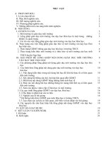 SKKN lồng ghép nội dung giáo dục môi trường vào dạy học hóa học ở trường THCS nga mỹ 