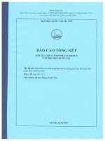 Phát triển các phương pháp tối ưu giải quyết các bài toán liên quan đến chuỗi protein 