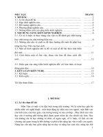 SKKN đổi mới cách ra đề tự luận để nâng cao chất lượng dạy học trong trường THCS ở huyện triệu sơn 