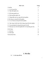 SKKN một vài kinh nghiệm giáo dục kỹ năng sống cho học sinh thông qua giảng dạy phần II trong chương trình giáo dục công dân lớp 10 