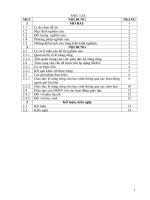 SKKN một số kinh nghiệm giáo dục kĩ năng sống cho học sinh THCS 