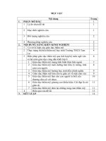 SKKN kinh nghiệm giáo dục thẩm mỹ thông qua dạy học tích hợp môn ngữ văn và môn giáo dục công dân lớp 9 