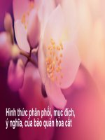 bảo-quản-hoa-cắt