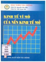 Kinh tế vĩ mô của nền kinh tế mở   sách chuyên khảo 