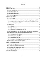 SKKN hướng dẫn HS vận dụng trí thức và kỉ năng tiếng việt vào đọc hiểu các trích đoạn truyện kiều lớp 10 