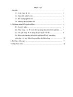 SKKN một số giải pháp nâng cao hiệu quả dạy   học làm văn nghị luận xã hội cho học sinh lớp 10 THPT 