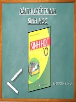 SKKN slide thuyết trình cấu trúc tế bào sinh học 10 cơ bản để nâng cao hứng thú học tập cho học sinh 