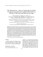 Đặc điểm kiến trúc  cấu tạo và thành phần của ilmenit  và magnetit trong lherzolit và gabbroit khối suối củn   dấu hiệu về điều kiện hình thành thể xâm nhập 