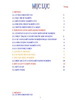 SKKN hướng dẫn học sinh phân loại và giải một số bài toán phóng xạ 