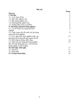 SKKN sử dụng mạng internet vào dạy học môn công nghệ lớp 11  