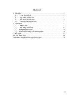 SKKN hướng dẫn học sinh khắc phục những sai lầm khi giải toán về cực trị của hàm số trong chương trình giải tích 12 