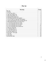 SKKN một số bài tập nhằm phát triển thể lực môn cầu lông cho học sinh lớp 11a3, 11a4 trường THPT DTNT ngọc lặc 