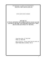 SKKN sử dụng mô hình thí nghiệm trong giảng dạy để tạo hứng thú học tập cho học sinh lớp 11 THPT hoằng hóa 3 ở phần từ trường 