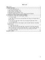 SKKN nghị luận về một vấn đề xã hội trong chương trình THPT 