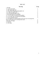 SKKN xây dựng hệ thống câu hỏi tích cực trong giờ dạy văn bản tấm cám chương trình ngữ văn 10   THPT 