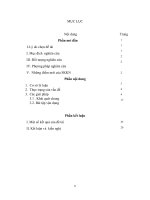 SKKN rèn luyện kỹ năng “đọc” đồ thị hàm số nhằm nâng cao hiệu quả trong xét các tính chất của hàm số ” 