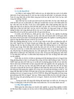 SKKN sử dụng tính đơn điệu của hàm số để giải một số bài toán vận dụng và vận dụng cao về phương trình, bất phương trình mũ và 