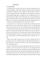 SKKN bồi dưỡng phát triển năng lực cảm xúc cho học sinh qua môn ngữ văn 