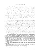 SKKN nghiên cứu và đổi mới một số thí nghiệm sinh học 10 theo hướng phát triển năng lực thực hành cho học sinh 