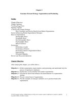 Solution manual of ch02 consumer focused strategy 