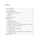 SKKN kinh nghiệm sử dụng bài tập phân hóa trong chương nitơ – photpho nhằm phát huy năng lực học sinh tại trường THPT quảng xương 4 