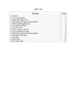 SKKN một số bài tập nhằm nâng cao thể lực trong môn cầu lông cho học sinh lớp 10 trường THPT quảng xương 2 