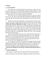 SKKN rèn luyện kỹ năng giải bài toán hình học không gian bằng phương pháp véc tơ 