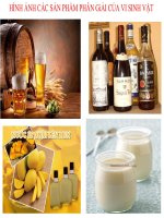 SKKN ỨNG DỤNG dạy học THEO CHỦ đề PHẦN VI SINH vật và NHỮNG ỨNG DỤNG của VI SINH vật TRONG THỰC TIỄN đời SỐNG 