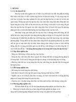 SKKN sử dụng phương pháp trung bình trong bài tập hoá học THPT 