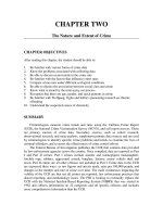 Solution manual ch02 thenature and exten of crime 