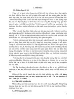 SKKN sử dụng phương pháp dạy học tích cực vào giảng dạy bài 21 tiết “ôn tập sinh học tế bào” sinh học 10 cơ bản 