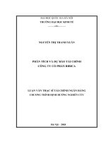 Phân tích và dự báo tài chính Công ty Cổ phần Bibica