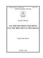 Nghiên cứu một số đặc điểm lâm sàng, cận lâm sàng và tình trạng đột biến gen EGFR ở bệnh nhân ung thư biểu mô vảy mũi xoang 