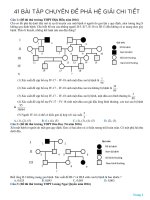 CHUYÊN đề PHẢ hệ GIẢI CHI TIẾT (1) 